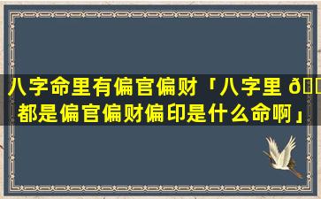 八字命里有偏官偏财「八字里 🐈 都是偏官偏财偏印是什么命啊」